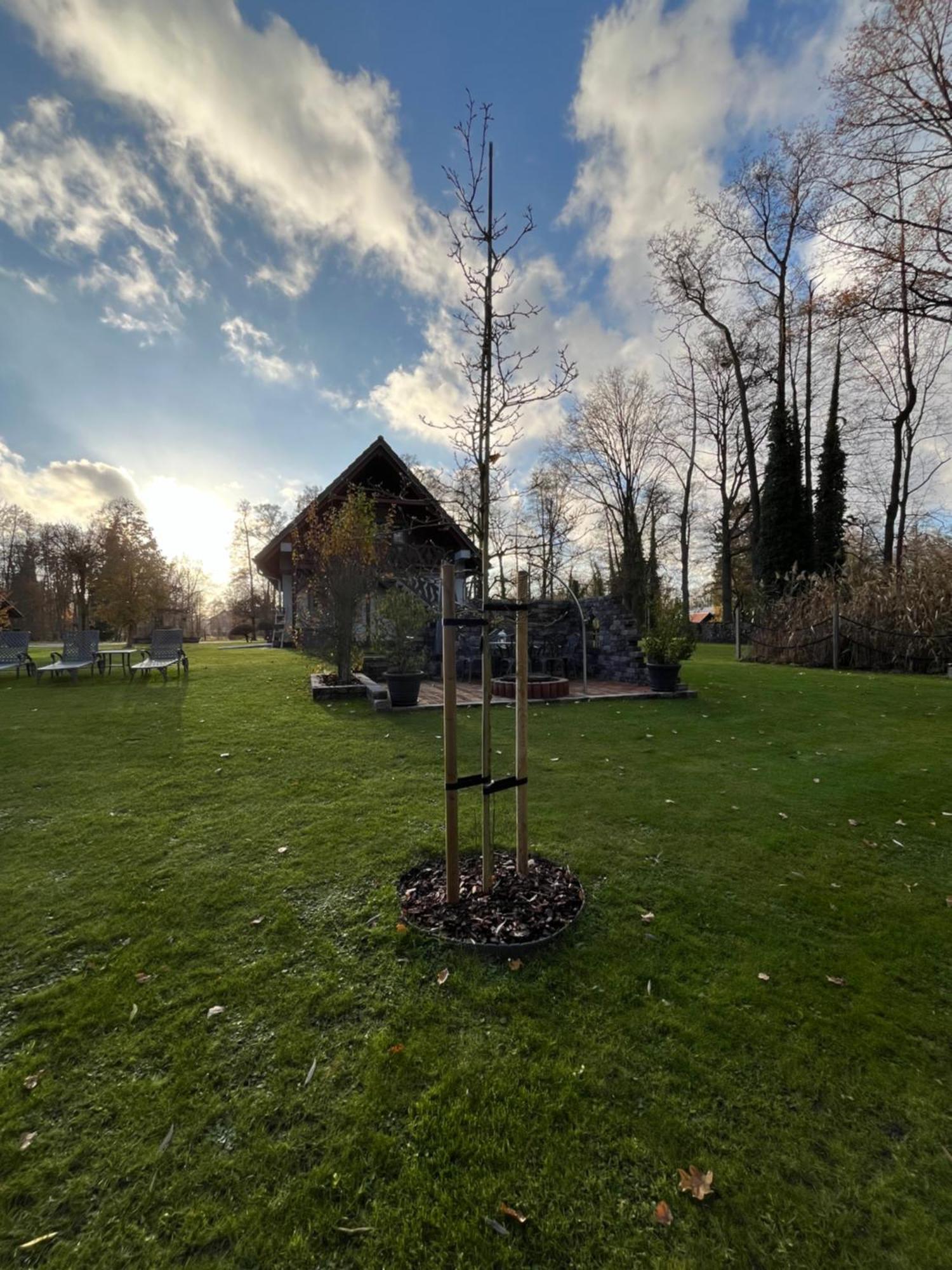 Ferienwohnungen Ast Burg  Bagian luar foto